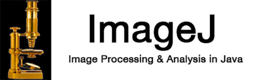 software ImageJ