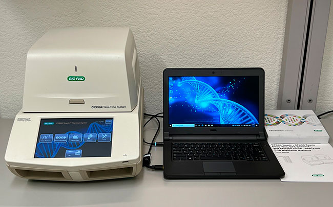 PCR BioRad CFX384 Real Time System