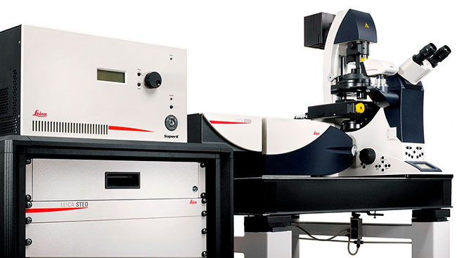 sistema Leica TCS SP8 STED 3X