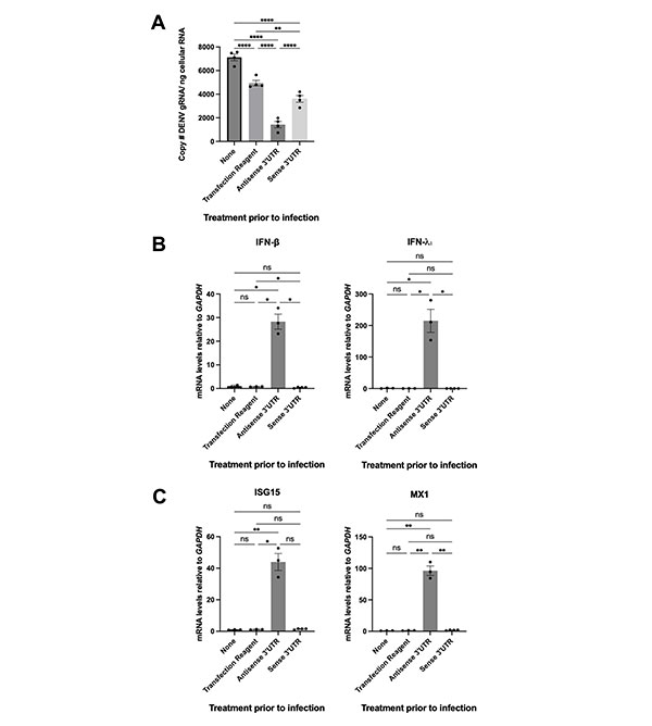 Figura 5 del estudio de ARN antiinmune del dengue