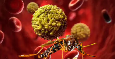 estudio de ARN antiinmune del dengue, portada