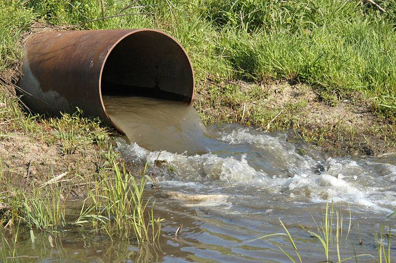 eliminación de contaminantes de aguas residuales con fotocatalizadores flotantes impresos en 3D, portada