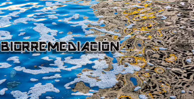 biorremediacion de petroleo en el mar, portada
