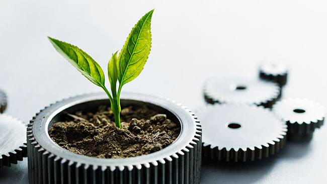 Industrializacion Verde