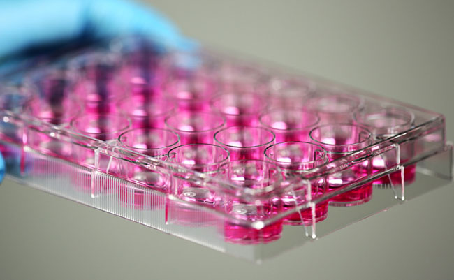 incubación en pocillos de desinfectantes con virus