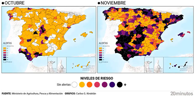 mapa infecciones gripe aviar en España octubre y noviembre 2025