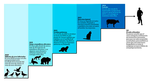 escala posible infeccion animales de gripe A
