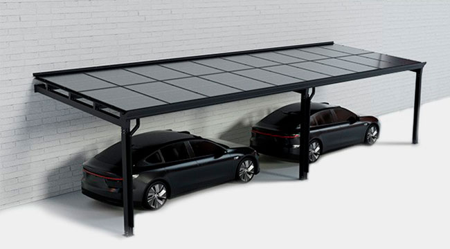 Double Column Type Wall Mounted Solar Carport
