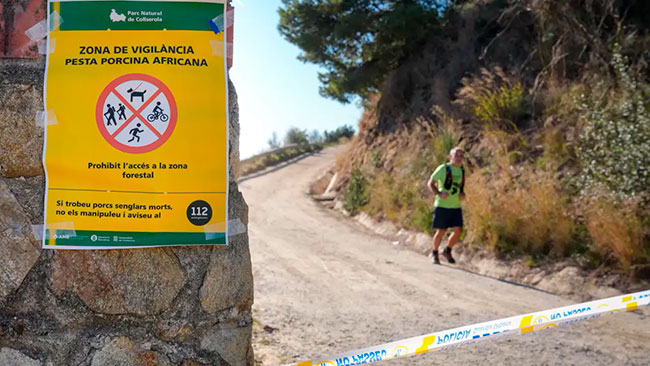 delimitacion de áeas con prohibiciones por peste porcina africana en España