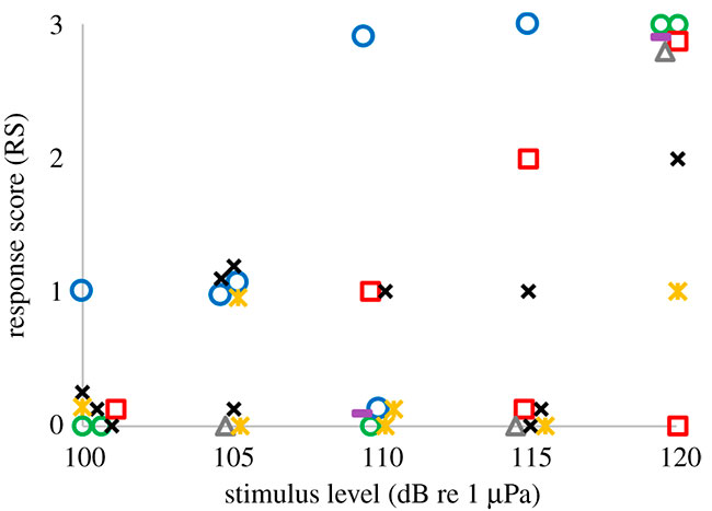 gráfica Figura 4 de los resultados de la reacción de los pingüinos papúa a los sonidos submarinos