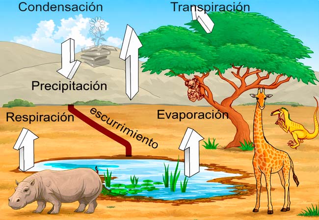Ciclo del agua dibujo