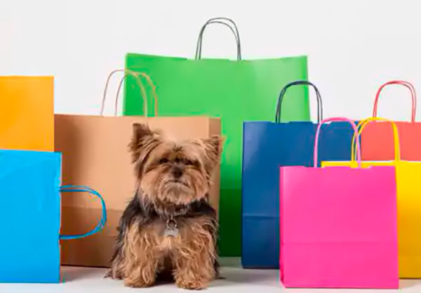 perrito con bolsas ecológicas de colores