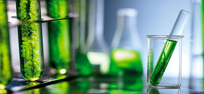 biopesticidas