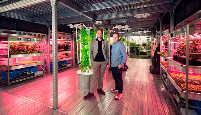 colaboación IKEA y Tom Dixon