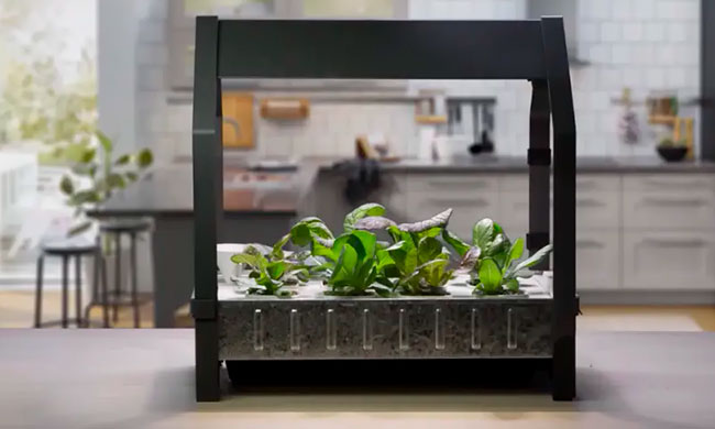 solución hidropónica VÄXER de IKEA