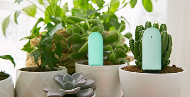 dispositivos para controlar el riego de las plantas a distancia portada
