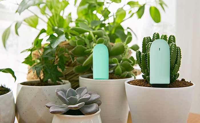 dispositivos para controlar el riego de las plantas a distancia portada