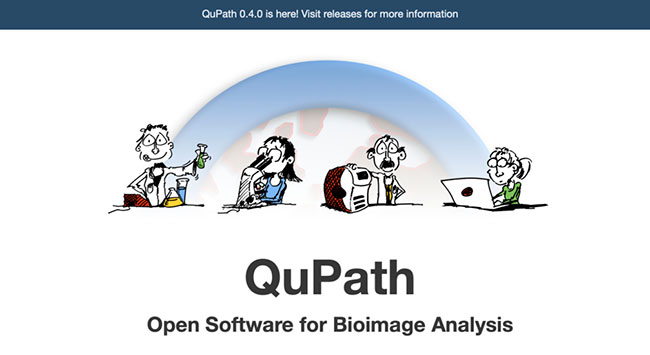 software QuPath Open para análisis de bioimágenes