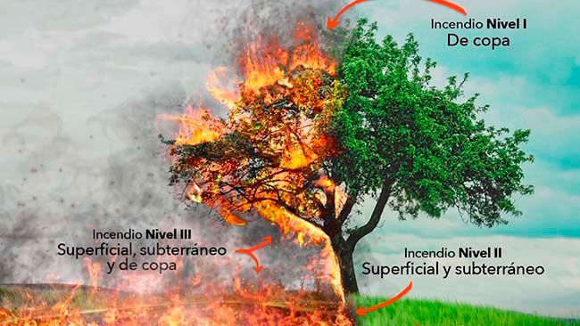 tipos de incendios forestales