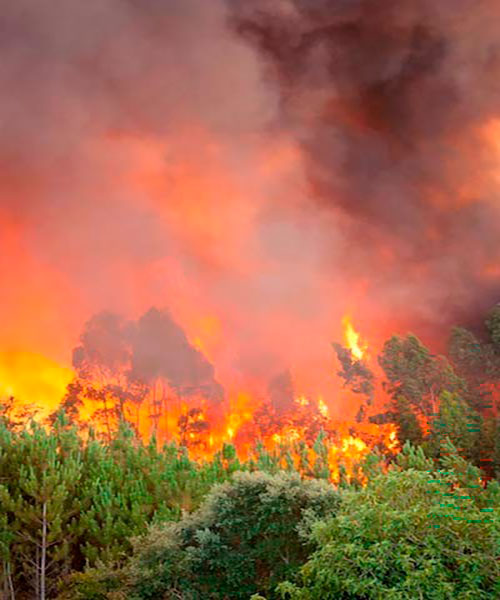 incendio forestal