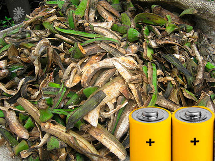 pilas orgánicas de residuos de plátano, aguacate y caña de azúcar, portada
