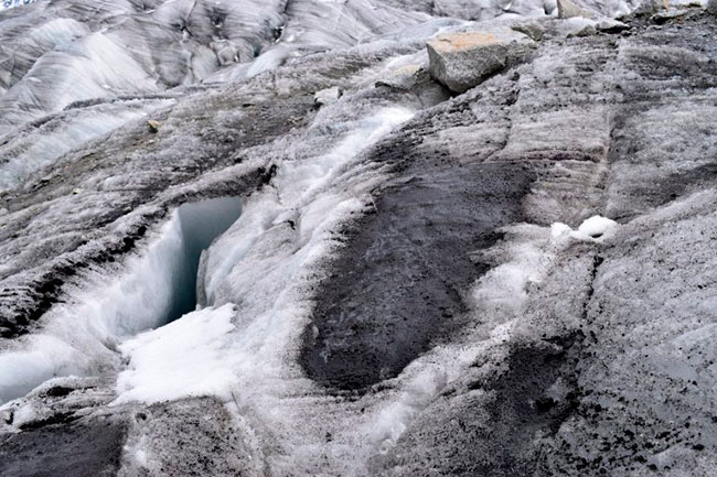 deposiciones de carbono negro y polvo en nieve