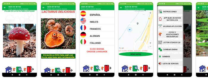 Guía de Setas para Android con fichas y mapas micológicos