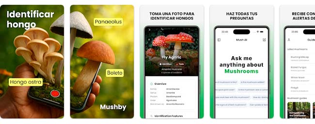 Mushby identificando una seta y mostrando especies tóxicas similares