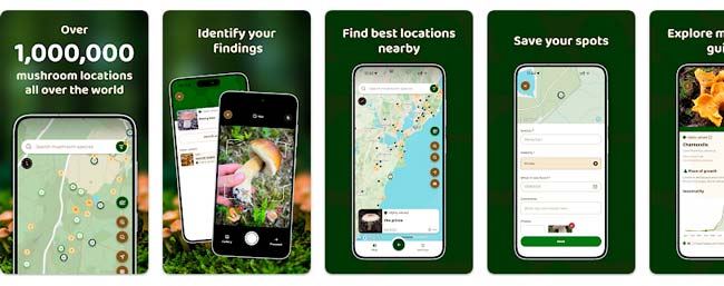 Mushroom Spot con mapa de lugares e identificación de setas