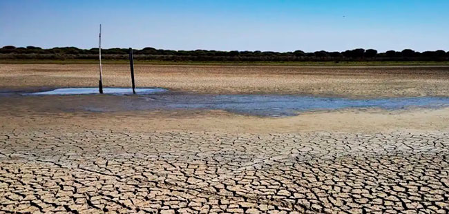 acuífero sobreexplotado en España
