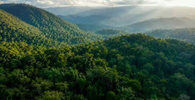 Bosque tropical de Brasil visto desde el aire durante un estudio sobre su capacidad para almacenar carbono