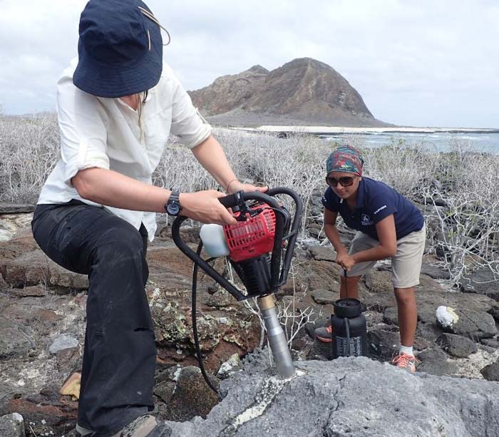 Corales de las islas Galápagos utilizados para reconstruir la intensidad de El Niño durante el último milenio
