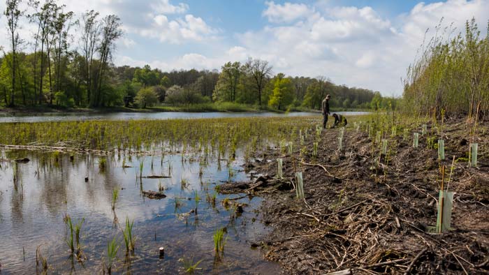 Proyecto de restauración de un ecosistema natural financiado mediante fondos europeos
