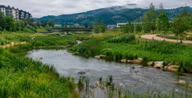 Zona restaurada en el País Vasco utilizada como solución natural frente al cambio climático