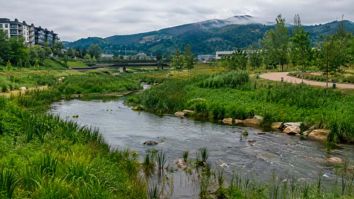Zona restaurada en el País Vasco utilizada como solución natural frente al cambio climático