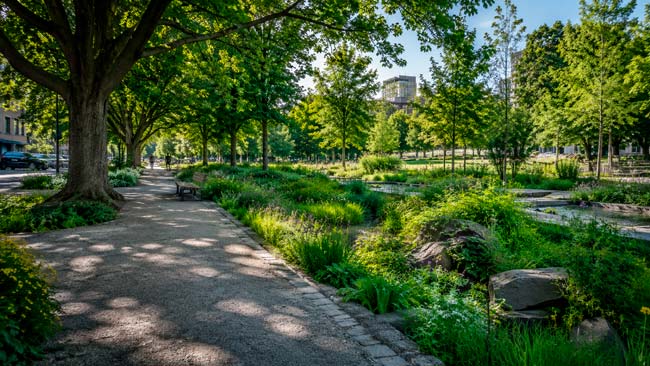 Parque urbano y corredor verde diseñados para reducir calor y gestionar mejor el agua de lluvia