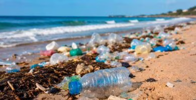Residuos plásticos visibles acumulados en una playa y en la costa