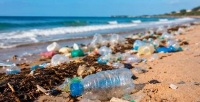 Residuos plásticos visibles acumulados en una playa y en la costa