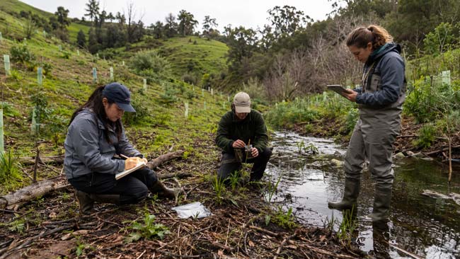 Técnicos trabajando en un proyecto de restauración que integra suelo, agua y biodiversidad