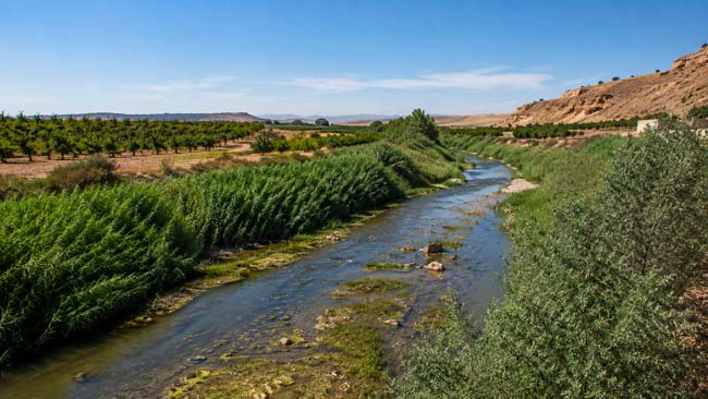 Río mediterráneo de España en un entorno vulnerable a la salinización