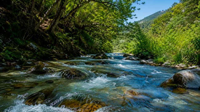 Río de aguas cristalinas y bien conservado, hábitat del desmán ibérico