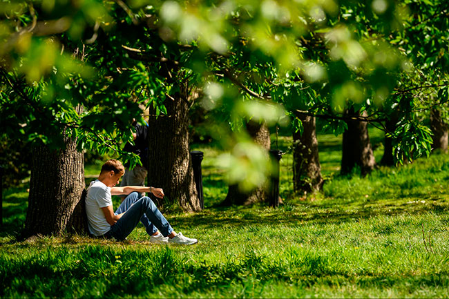 Hyde Park antes de la sequía