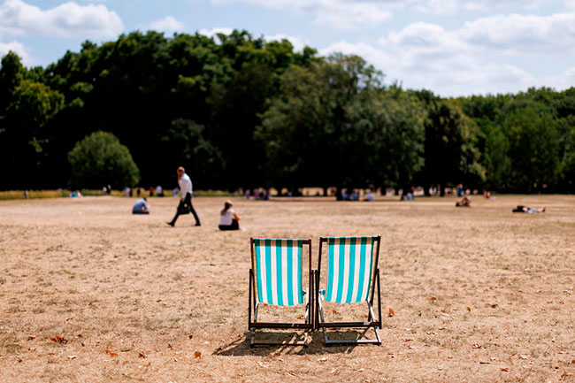 Hyde Park tras la sequía
