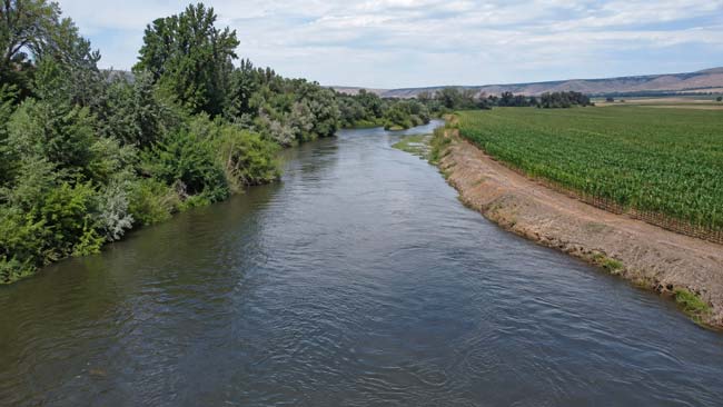 Comparación entre una ribera natural y otra alterada por agricultura y uso intensivo del suelo