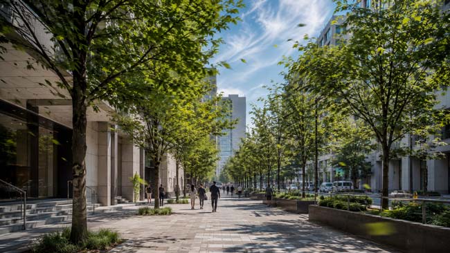 Viento circulando entre árboles urbanos para favorecer la refrigeración de la ciudad