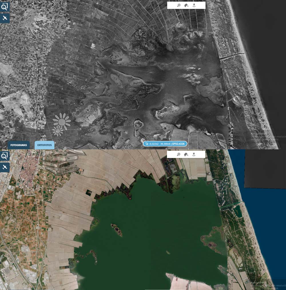 Comparativa de la Devesa de El Saler en 1956 y en la actualidad