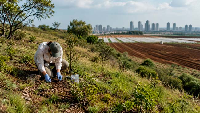 Investigadora tomando una muestra de suelo en un área natural expuesta a agricultura y urbanización, fuera de espacios protegidos