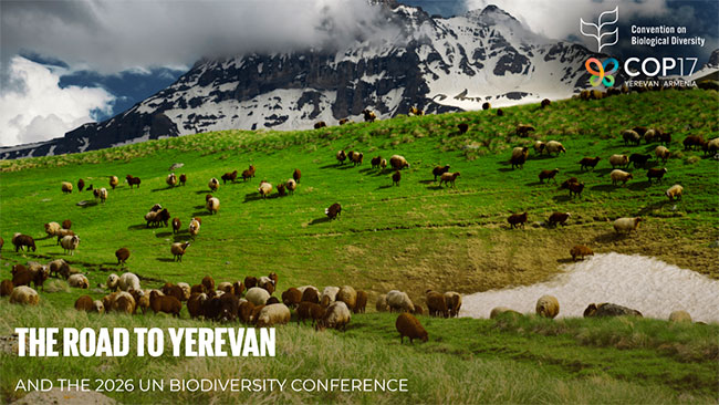 CBD COP17 Armenia 2026