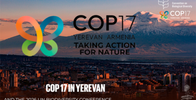 CBD COP17 portada